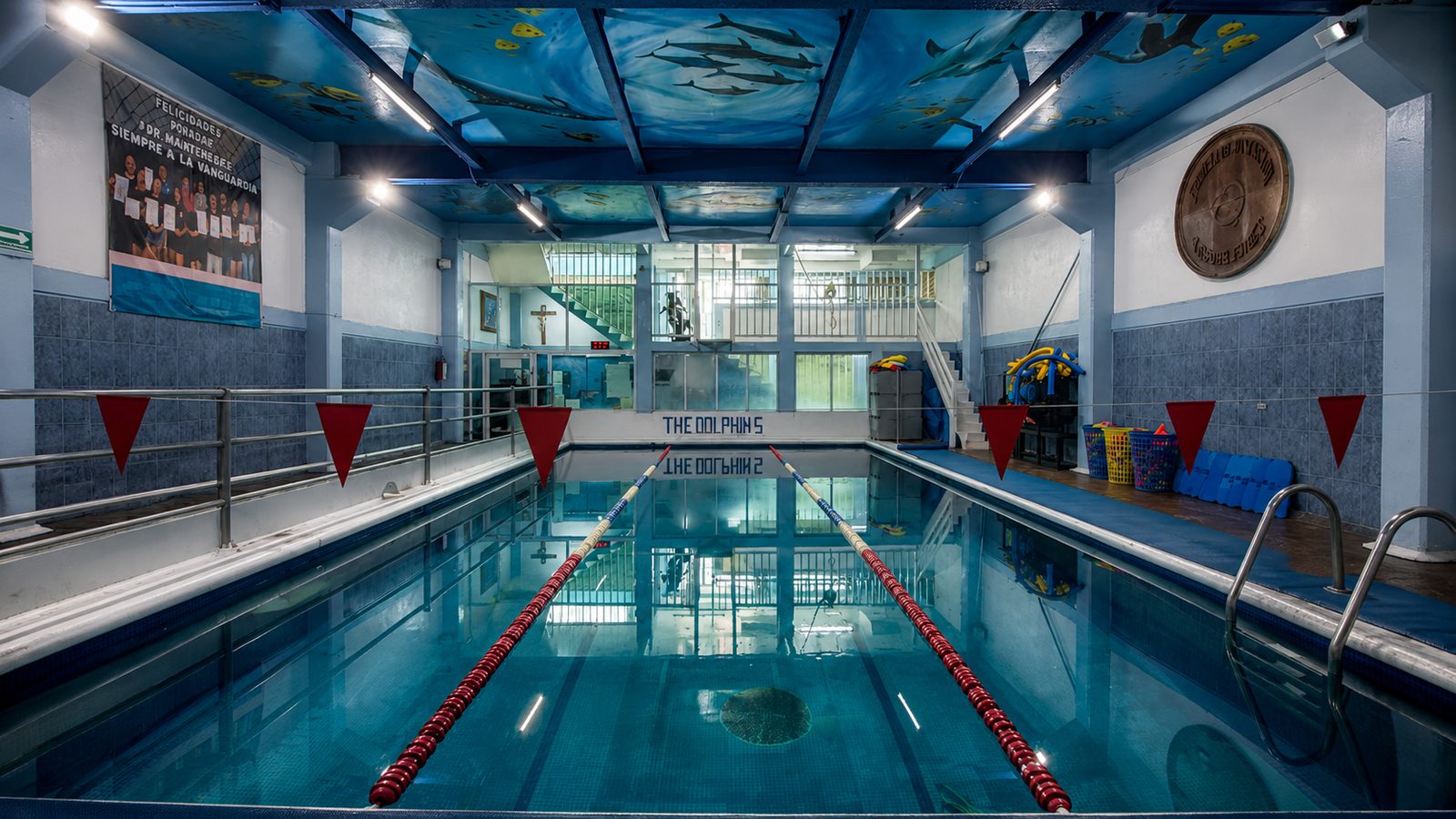 Alberca techada y climatizada del club, con corcheras y un mural de delfines en el techo