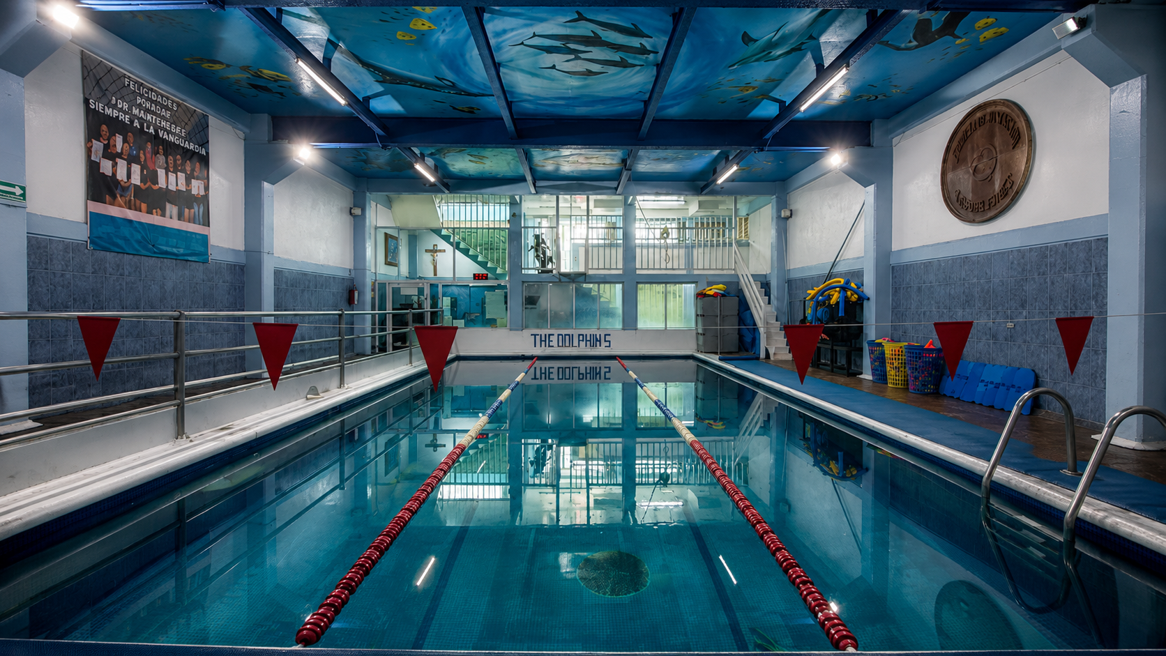 Alberca techada y climatizada del club, con corcheras y un mural de delfines en el techo